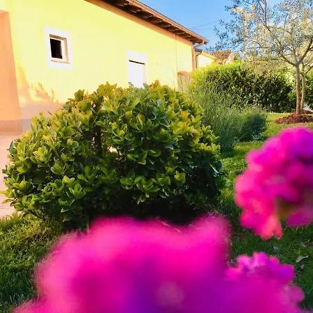 Ines Holiday home *